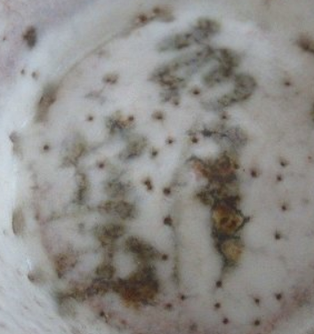 陶芸作家虎渓山 水月窯　こけいざん　すいげつがまの陶印・裏印・窯印・サイン画像です。