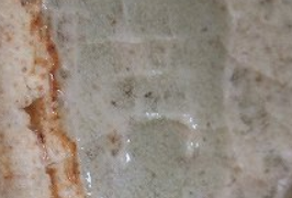 5dffc478c647cdc1b922a6d26e14a37b 1