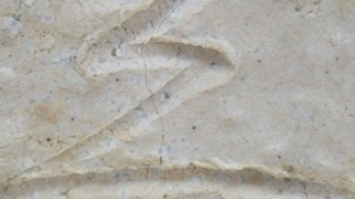 5eb721029e519cfcc235ada4f7f025fe 10 1