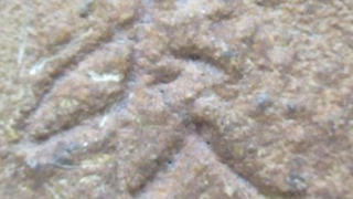 5f4ed5e7e0c43e9f5b8ea74c7c42d118 4