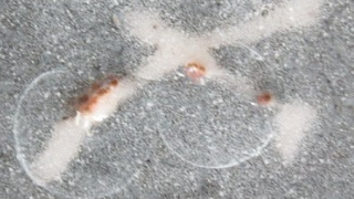 608d322d82715b3258bb9dd7f396a046 1 1