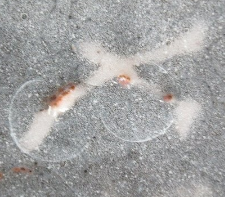 陶芸作家水野澤三 みずのたくぞう　陽山窯の陶印・裏印・窯印・サイン画像です。