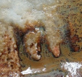 陶芸作家川尻浩史　かわじりひろし　（益子焼）の陶印・裏印・窯印・サイン画像です。