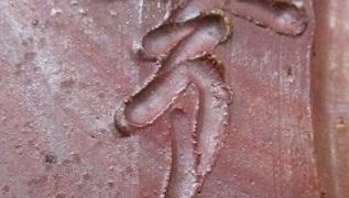 6c8e9db00abaa7b7e35b04629bacc0f0 2