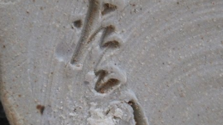 6e6da94749c1a0b54939575a952005df 3 1