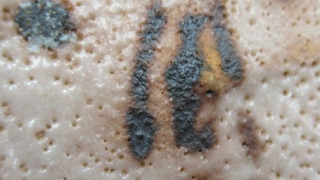 7311cc32974dc641c5070b36c68776a5