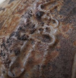 陶芸作家嶋幸博　しまゆきひろ　（備前焼）の陶印・裏印・窯印・サイン画像です。