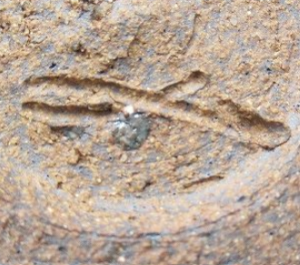 陶芸作家出口鯉太郎 東白窯の陶印画像です。