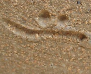 唐津焼の陶芸作家蓮見重義　（唐津焼）の陶印・裏印・窯印・サイン画像です。