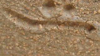 9993dd237a58eee717bb0607daeeafb2 4