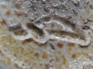 陶芸作家嘉生安穂 （備前焼）の陶印・裏印・窯印・サイン画像です。