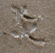 9efd9f7fa6e64fba7f9f969400715958 3 1