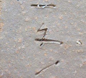 陶芸作家森青史 （備前焼）の陶印・裏印・窯印・サイン画像です。