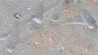 a01f6f459c9adc6fd78dece3ed6f3173 3