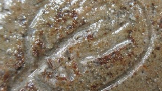 a210fd2d9ba727690208ab90c9985ad2 3 1