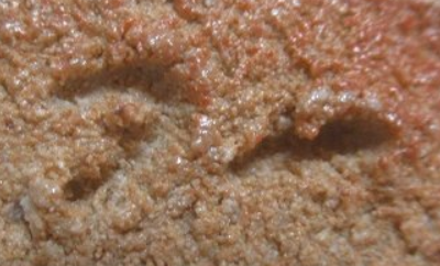 陶芸作家西岡小十　にしおかこじゅうの陶印・裏印・窯印・サイン画像です。