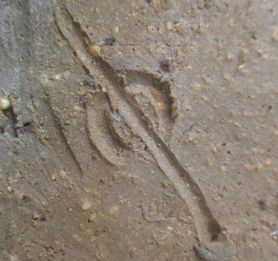 陶芸作家西川政美　にしかわまさみ　（備前焼）の陶印・裏印・窯印・サイン画像です。