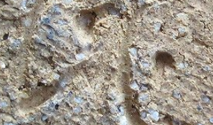 add13c0f58d7a30083df83ad096b879b 4 1