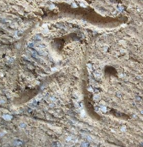 手書き・手彫りの陶芸作家兼田昌尚 天寵山 （萩焼）の陶印・裏印・窯印・サイン画像です。