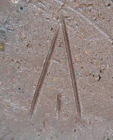 陶芸作家人間国宝　伊勢崎淳　いせざきじゅん　(備前焼)の陶印・裏印・窯印・サイン画像です。