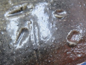 陶芸作家森本桂 （備前焼）の陶印・裏印・窯印・サイン画像です。