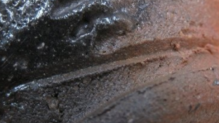 afcf2d95d48a6033be7db4697f6a0184 1