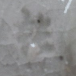 陶芸作家大野鈍阿の陶印画像です。