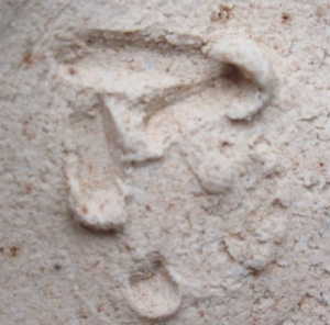 手書き・手彫りの陶芸作家戸松万典 （志野）の陶印・裏印・窯印・サイン画像です。