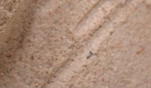 b5f391b36fcb637bf7720c5276b84a23 4