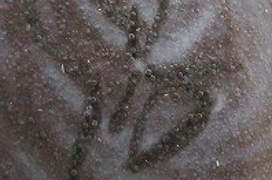 b81c92f431582a2afaa929844280144b 3