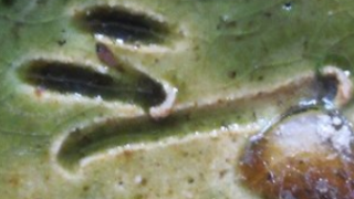 bbf490fb3e182b57274fd76454572cf2 3 1