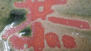 bfab8828a4b9c77927f06e8679338695