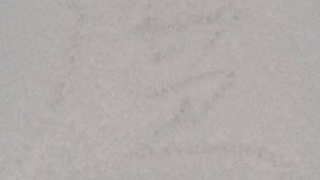 c08209909c7da44418840c1d26abe8d4 3