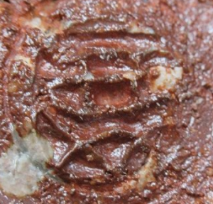 陶芸作家鳴海要の陶印画像です。