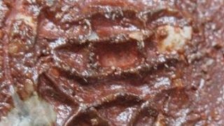 cbde8d094684ac84bec390dae6ae4b92