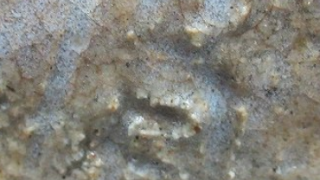 cc7e2a2f4f1972380f48bc308c969a1d 4