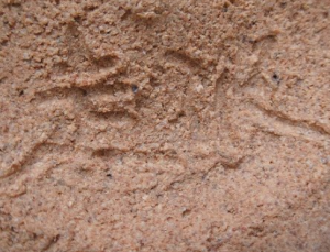 手書き・手彫りの陶芸作家佐藤走波 (有田焼)の陶印・裏印・窯印・サイン画像です。