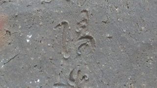 d9ee237604023de090125830c84b7661 2