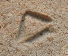 e25476c4efb0262f80900dd6705e9ae4 4 1