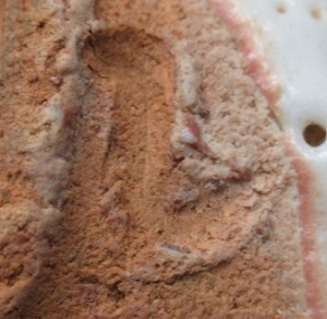 陶芸作家堀一郎 一窯 （志野ほか）の陶印・裏印・窯印・サイン画像です。