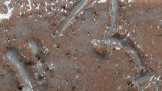 e2ce9167f4b6177399760739828b0bbf 4 1