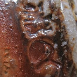 陶芸作家清水義久　しみずよしひさ　（丹波焼）の陶印・裏印・窯印・サイン画像です。