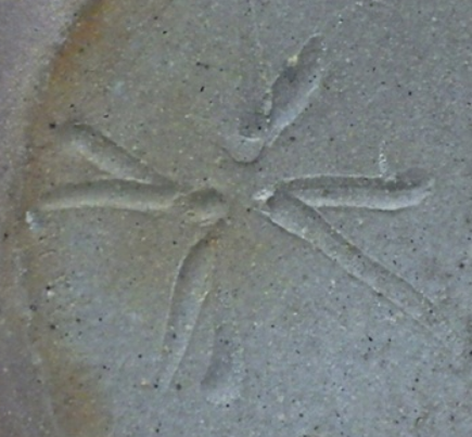 陶芸作家難波需　なんばもとむ　南秋窯の陶印・裏印・窯印・サイン画像です。