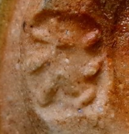 陶芸作家杉本浩太郎　すぎもとこうたろう　(益子焼)の陶印・裏印・窯印・サイン画像です。