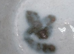 e8957caa949e6303c132d47ddbe42198 3 1