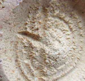 陶芸作家小林武春の陶印・裏印・窯印・サイン画像です。