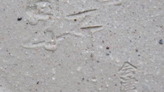 f233f6d0ea1a40a880b2cd5f96ff769f 2 1