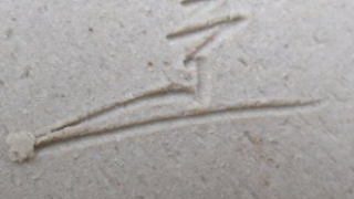 f356233912a204e6c797aa97bb41d0b6 3 1