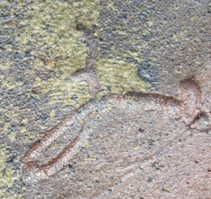 陶芸作家中里嘉孝 （唐津焼）の陶印・裏印・窯印・サイン画像です。