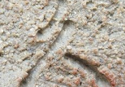 fe9c2fcb18b5feac92ab045f36eaebcd 4 1